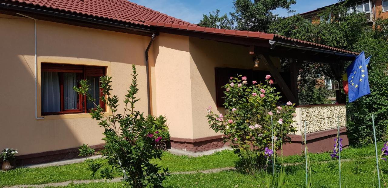 La Mihai Lupeni  Extérieur photo